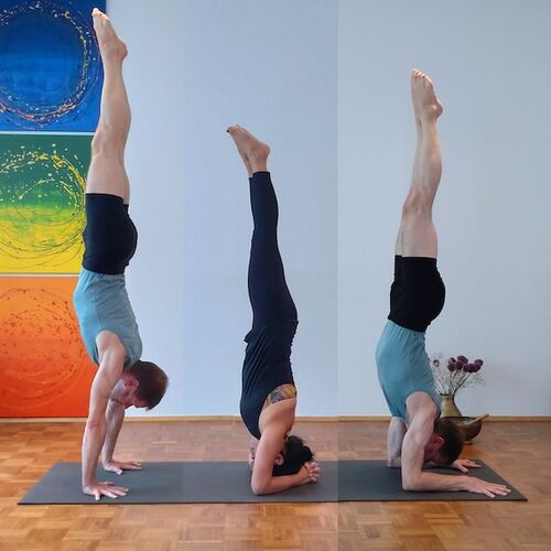 Yoga Kurse in Braunschweig für Einsteiger, Anfänger, Beginner, Neulinge, Geübte, Erfahrene, Fortgeschrittene, Yogaschule SOLIS, SOLIS Yoga