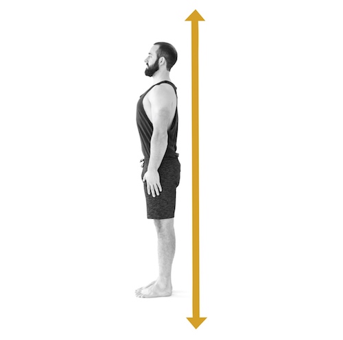Bandha - Aufrichtung durch Körperspannung